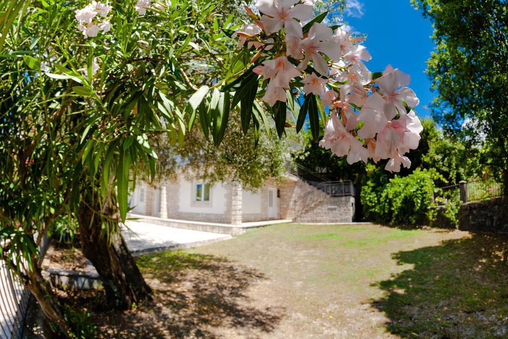Olive Tree Villa Herceg Novi Exterior photo